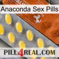 Anaconda Sex Pills 42